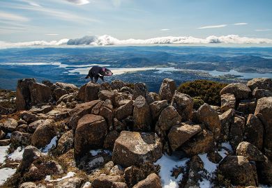 Montage of a Tasmanian devil on the landscape of Mount Wellington in winter season of Hobart, Tasmania state of Australia to illustrate HE in Tasmania: devilishly difficult to get right