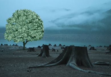 Tree filled with money with other trees cut down.