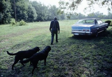 Dogged by the black dog 35 per cent of undergraduates and 32 per cent of postgraduates screened positive for major depressive order, according to a new study