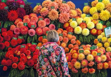 Woman looking at flowers
