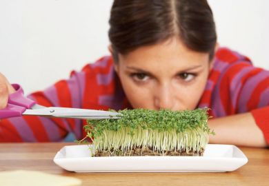 Woman trimming sprouts with scissors