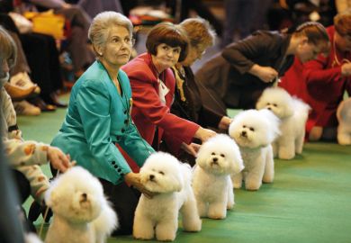Women attending a dog show