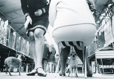 Women with chihuahuas