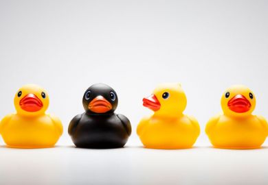 Yellow and black rubber ducks Yellow and black rubber ducks