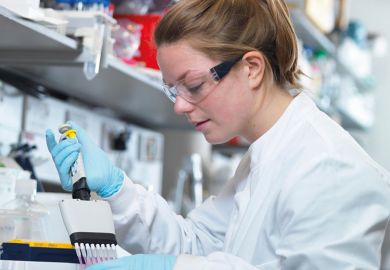 Young scientist at work in laboratory Young scientist at work in laboratory