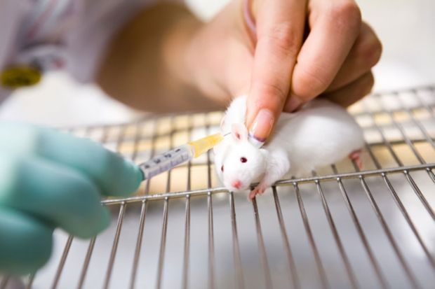 Animal research debate votes against full ban | Times Higher Education (THE)