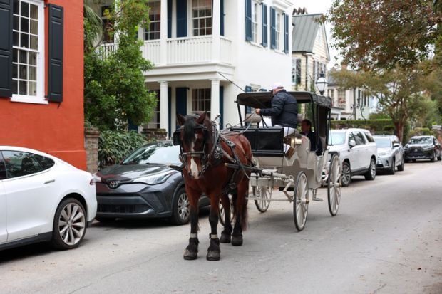 A view of a man in a Carriage horse in Charleston, South Carolina