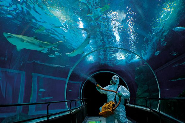 A worker disinfects the oceanic tunnel of the Rio de Janeiro Aquarium (AquaRio) on the eve of the reopening of the touristic attraction, in Rio de Janeiro, Brazil, on August 14, 2020