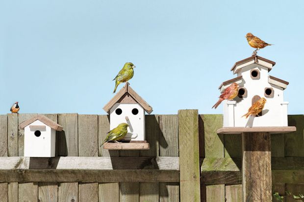 bird-houses