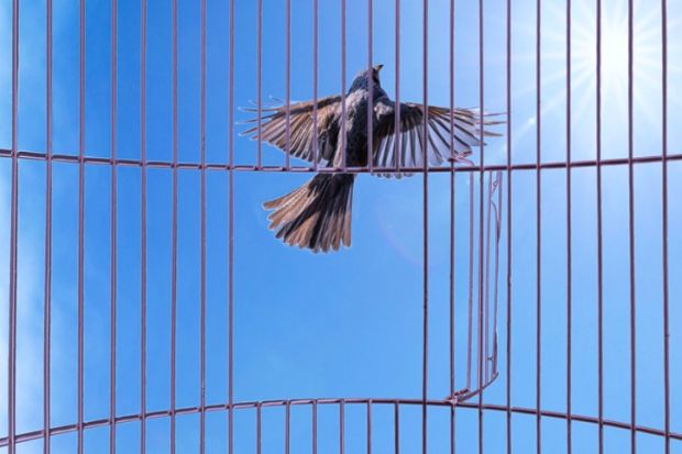 A bird flies out of a cage, representing independence for Atec A bird flies out of a cage, representing independence for Atec