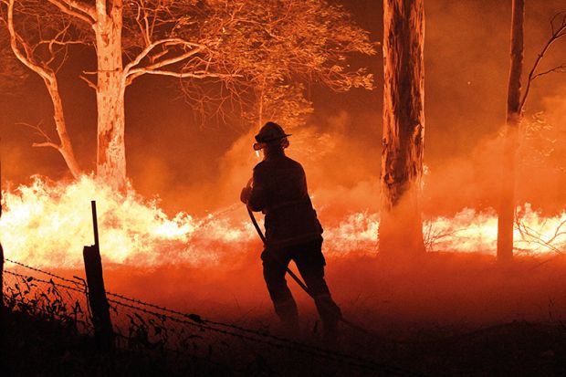 Firefighter deals with a bushfire
