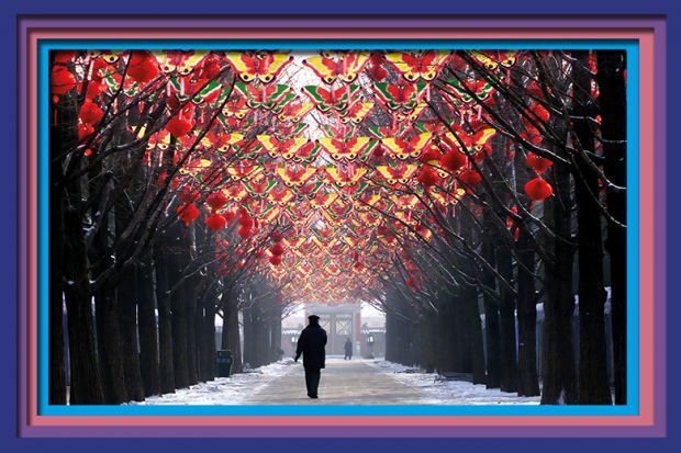 A man strolls down a tree-lined walkway decorated with butterflies and red lanterns in Beijing, China. To illustrate that Asian universities have stalled in their rise up the rankings. A man strolls down a tree-lined walkway decorated with butterflies and red lanterns in Beijing, China. To illustrate that Asian universities have stalled in their rise up the rankings.