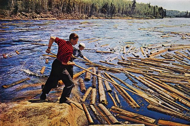 Canadian loggers