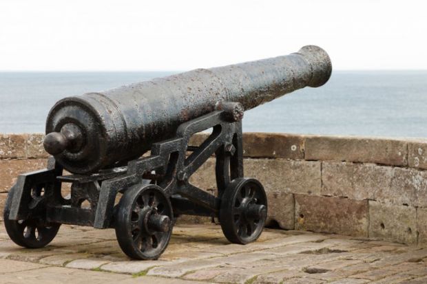 Cannon on battlements