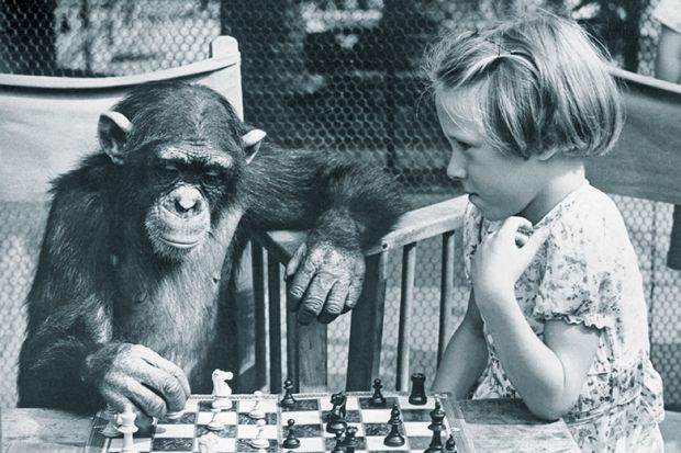 Little girl plays chess with a chimpanzee