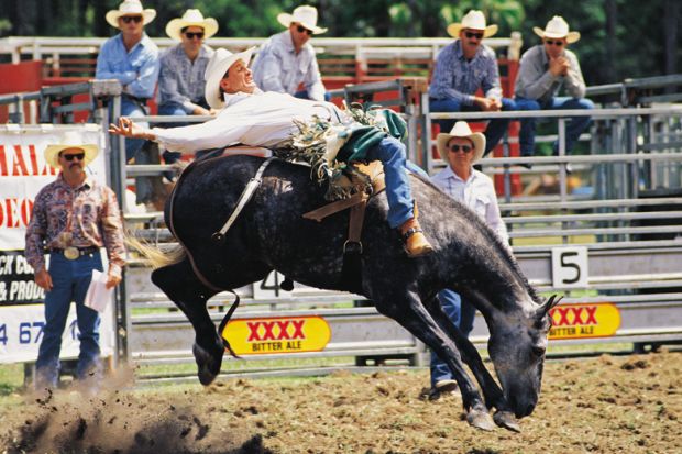 Cowboy riding horse during rodeo, Queensland, Australia Cowboy riding horse during rodeo, Queensland, Australia