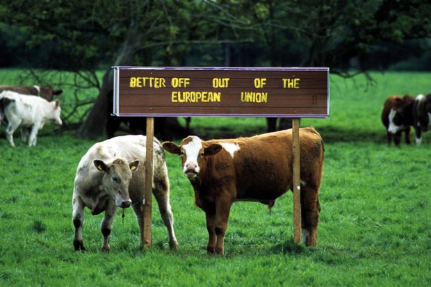 Cows in a field with a signpost saying 'better off out of the European Union'