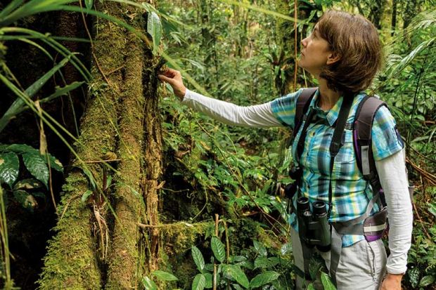 cristina_banks cristina_banks