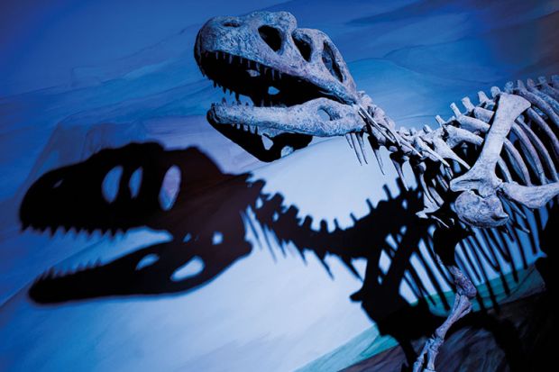 dinosaur-skeleton dinosaur-skeleton