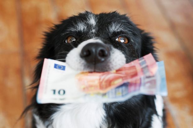 A dog offers banknotes, symbolising payment for peer review