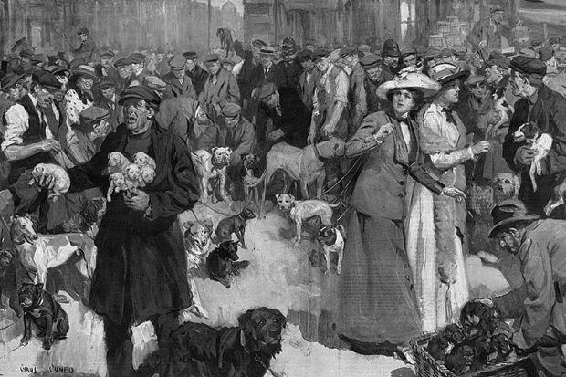 Sunday morning dog fair at Bethnal Green, London, c. 1912, illustrating review of book Dogopolis, by Chris Pearson