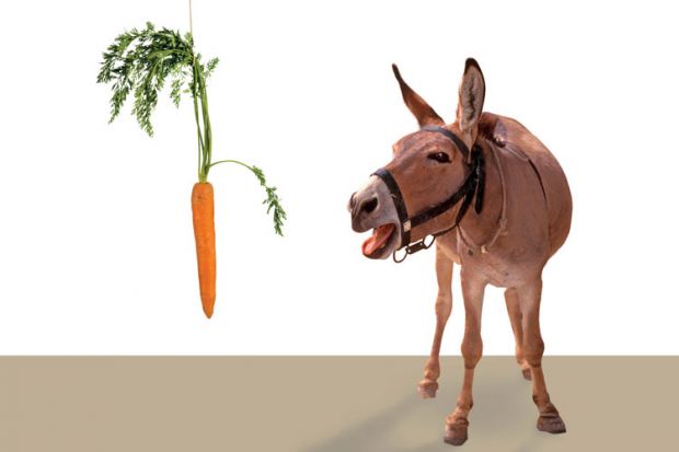 Donkey being led by carrot