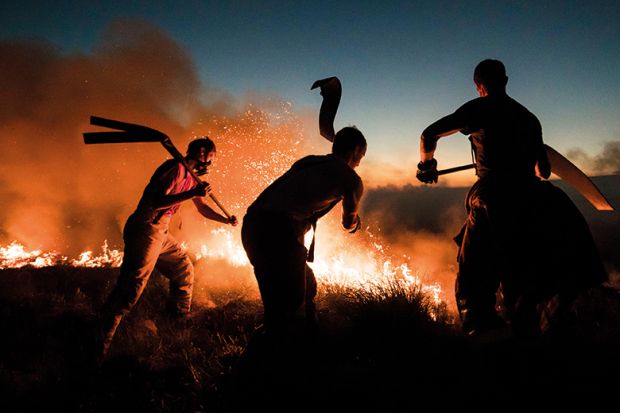 Firefighters tackle a wildfire by beating it. Used to illustrate whether the OfS has the right tools to tackle the challenges faced by the university sector. Firefighters tackle a wildfire by beating it. Used to illustrate whether the OfS has the right tools to tackle the challenges faced by the university sector.