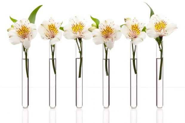 Flowers in a test tube