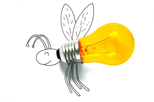 Sketch of a fly with a light bulb for its body, illustrating academic gadflies