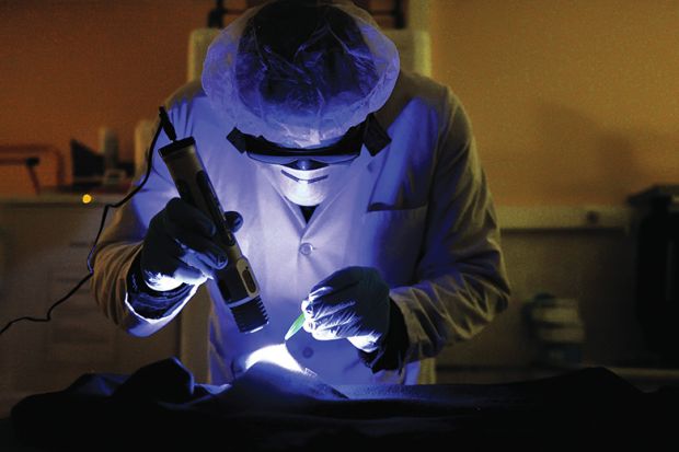 A member of the forensic section of the French gendarmerie (Cellule d’Identification Criminelle, CIC) uses a UV lamp