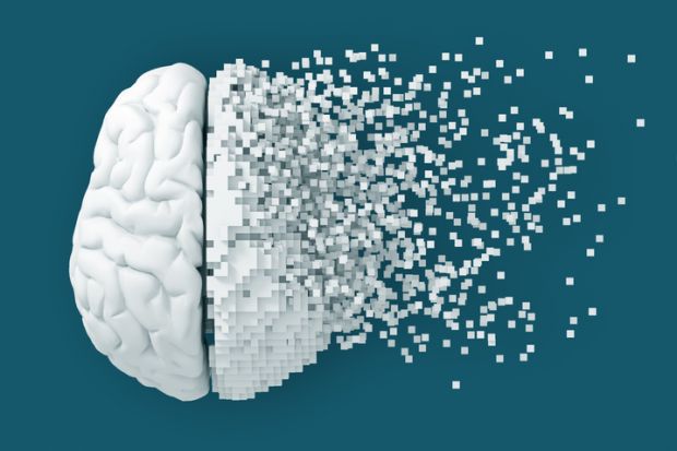 A fragmenting brain