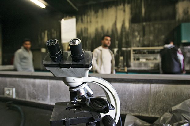 A microscope on a Gazan background