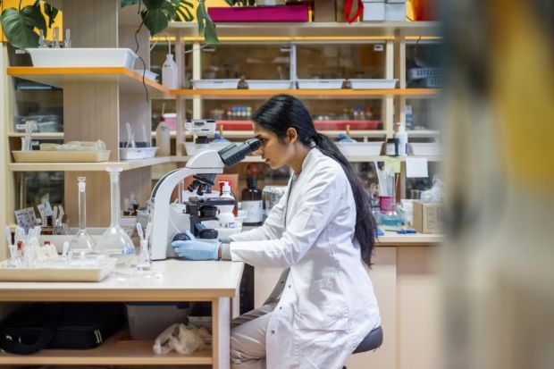Women are entering higher education at increasing rate in India Women are entering higher education at increasing rate in India