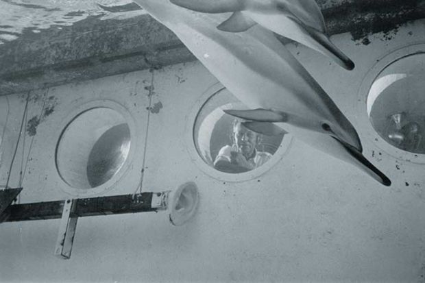 gregory-bateson gregory-bateson