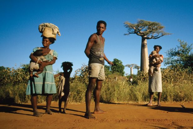 Group of people standing near baobab trees, Madagascar