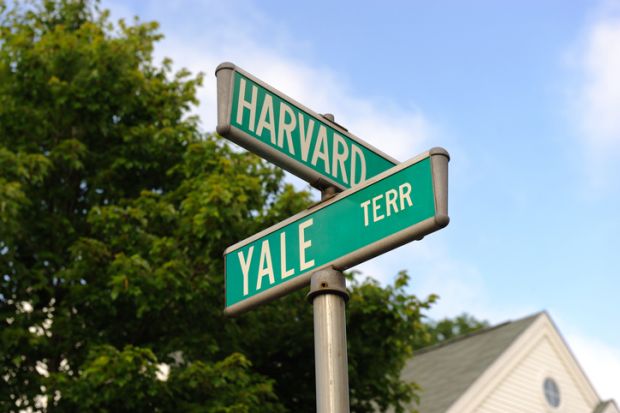 Harvard and Yale signs