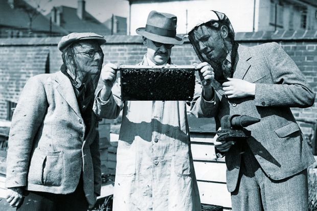 Beekeepers Beekeepers