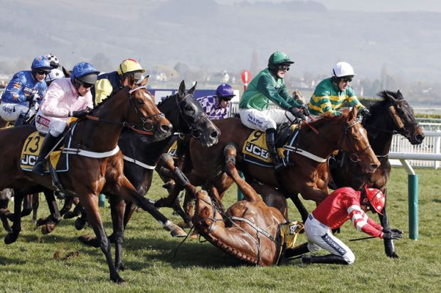 Horse and jockey fall during race