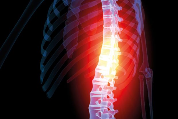 Illustration of person's spine highlighted