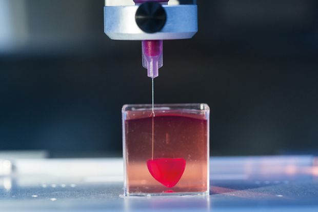 Presentation of a 3D live heart printed from human tissue at Tel Aviv University