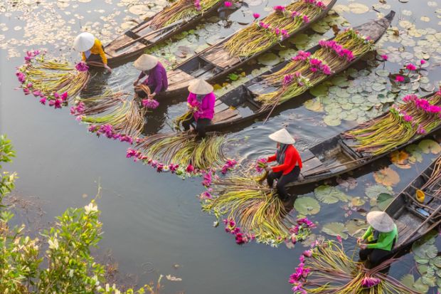 Women picking out water lilies in Vietnam's Moc Hoa district
