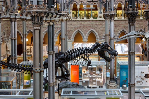 Dinosaur skeleton on display in the magnificent building of Oxford University Museum of Natural History Dinosaur skeleton on display in the magnificent building of Oxford University Museum of Natural History