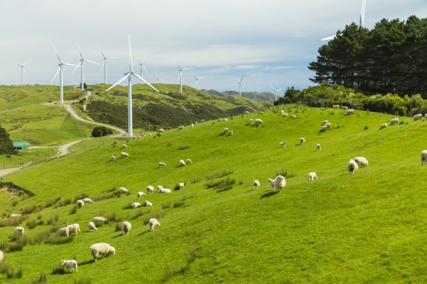 Wind turbines and sheep on Wellington's western coast in New Zealand