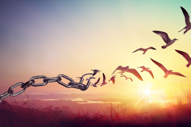 freedom break chains birds liberty 
