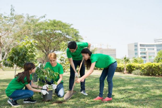 students planting trees