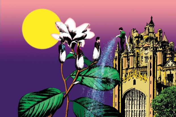 Illustration Illustration