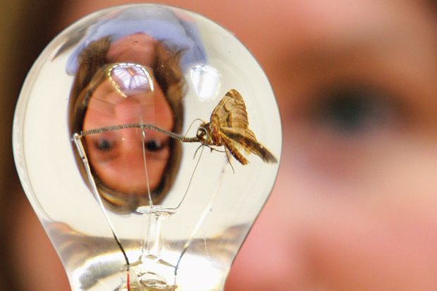 Woman’s reflection and a moth in a light bulb illustrating female ideas and women philosophers