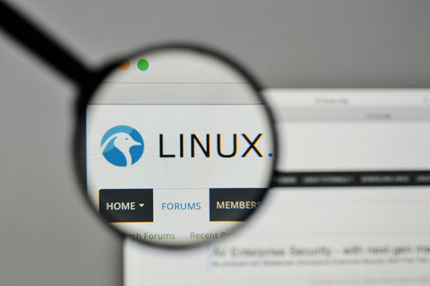 Linux logo under microscope