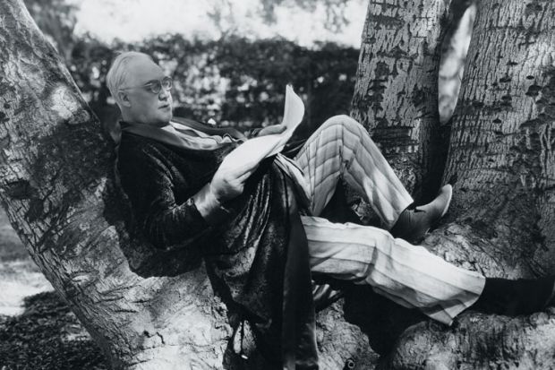 Man laying in a tree Man laying in a tree