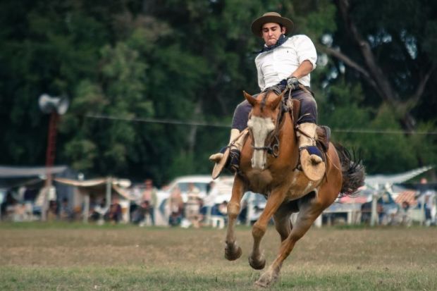 Man riding wild horse